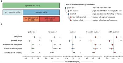 Risk factors differ for viable and low viable crushed piglets in free farrowing pens